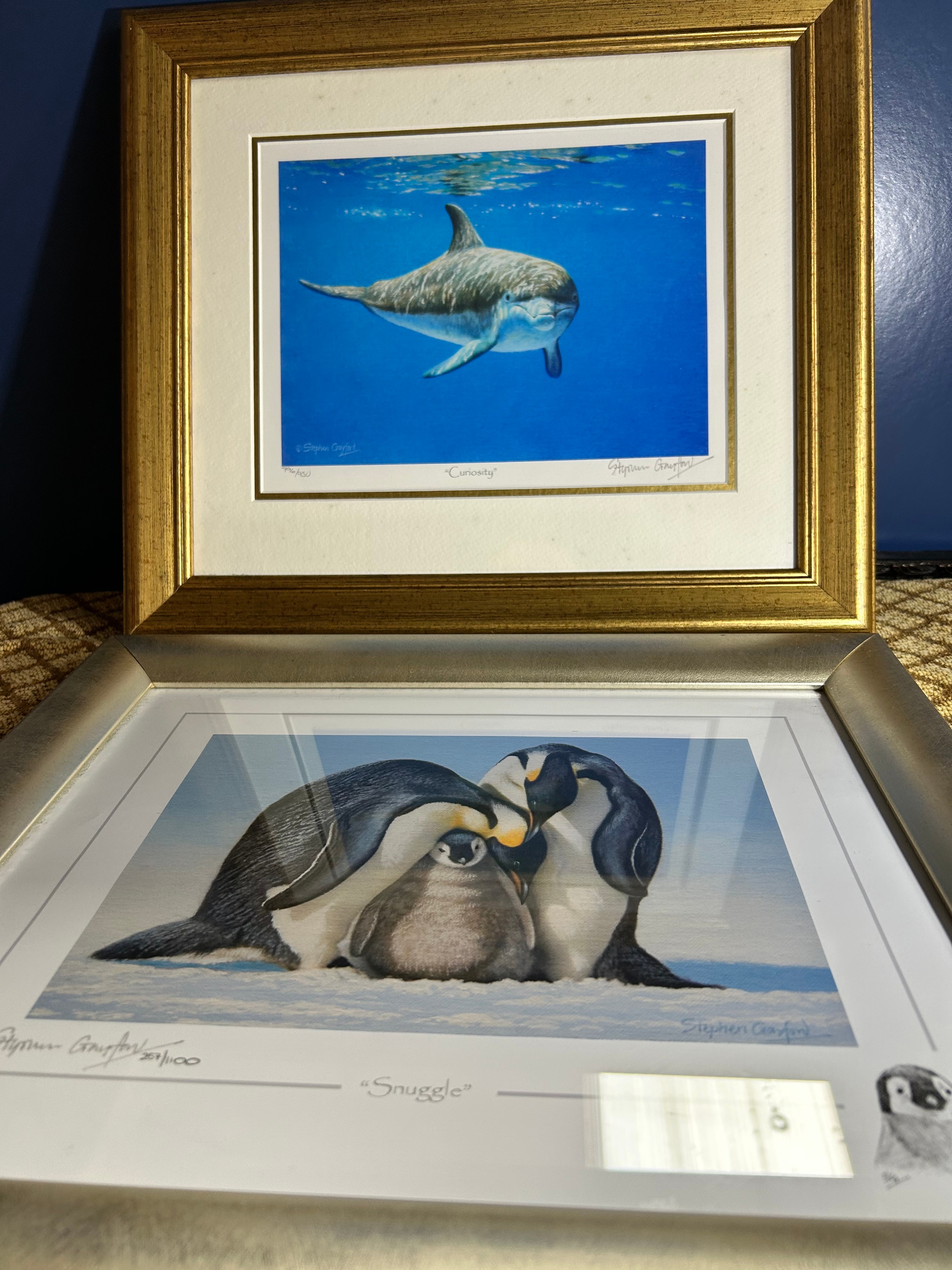 Stephen Gayford? Limited Edition Framed Wildlife Prints, Curiosity and Snuggle