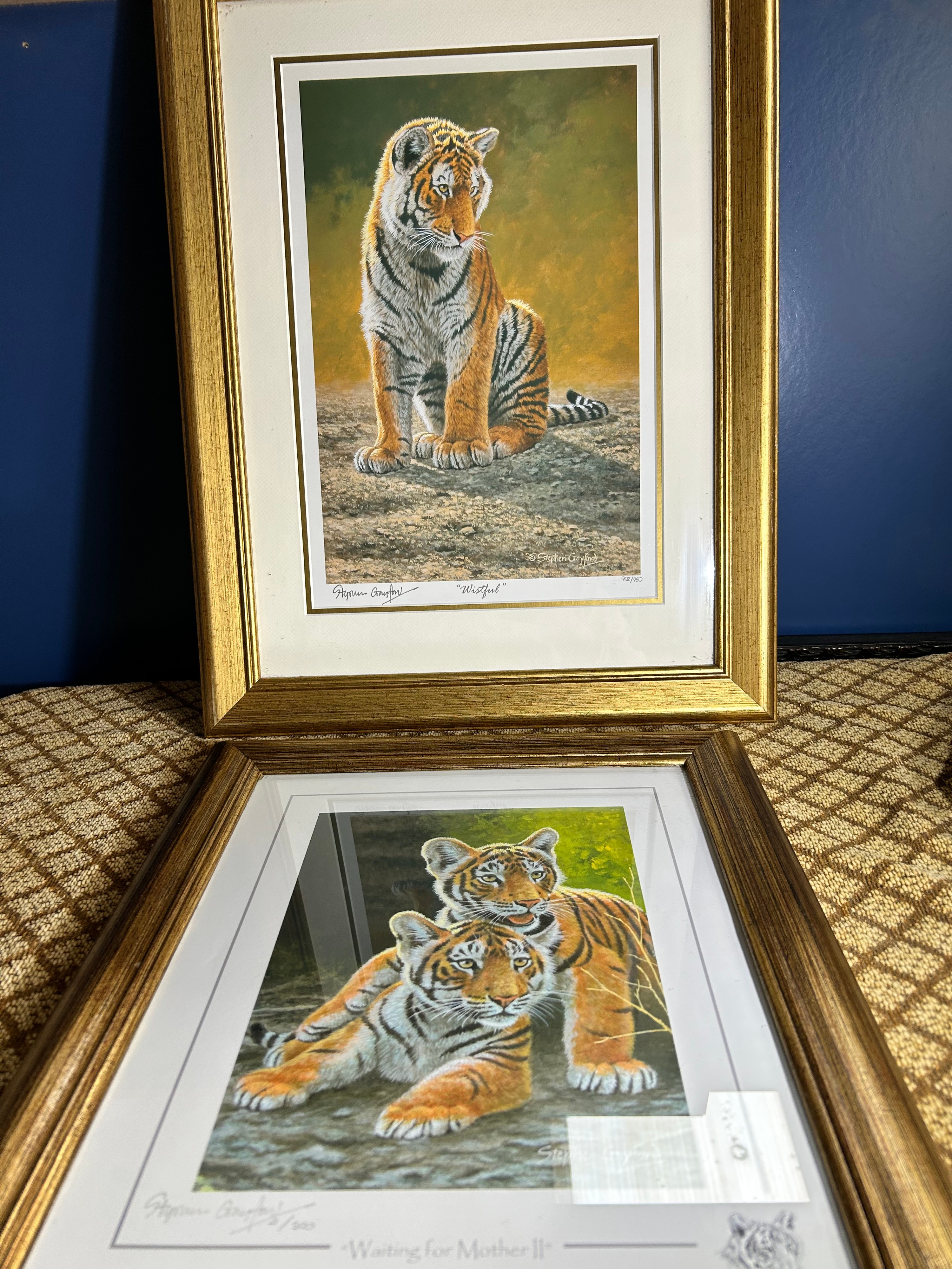 A Collection of Stephen Gayford Limited Edition Offset Lithograph Tiger Cub Prints