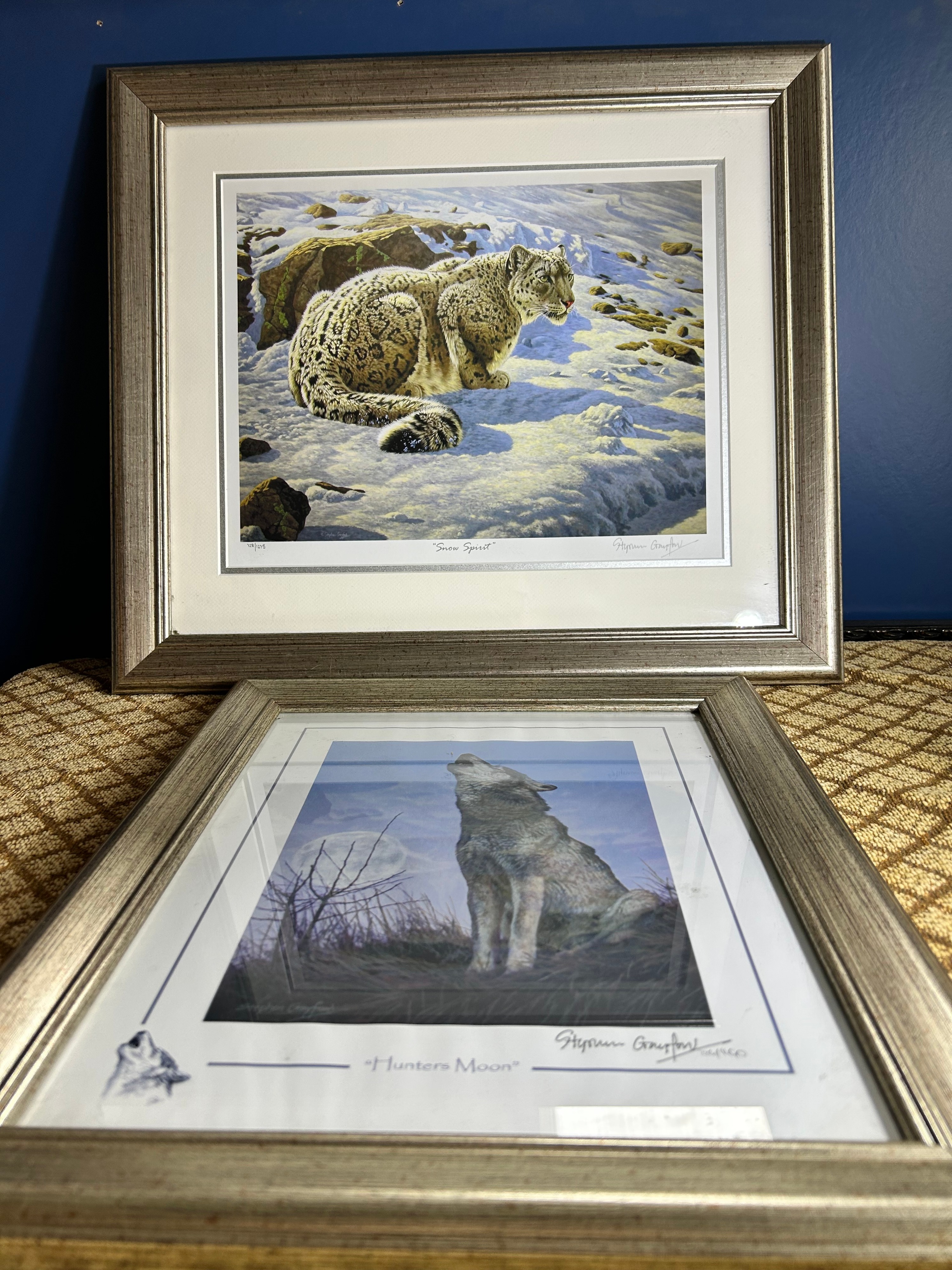 Contemporary Framed Paper Wildlife Prints by Stephen Gayford