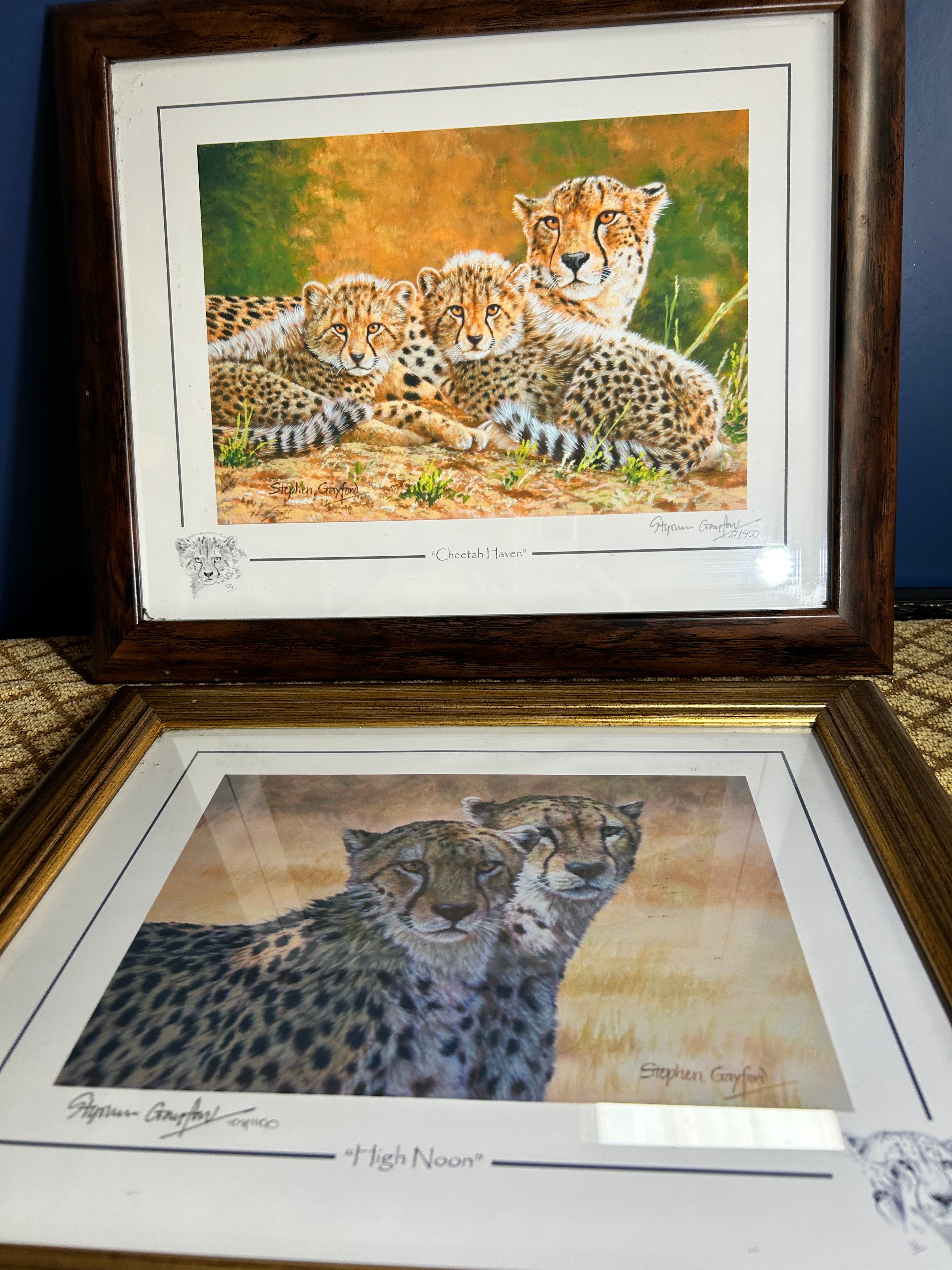 Stephen Gayford Limited Edition Framed Cheetah Prints
