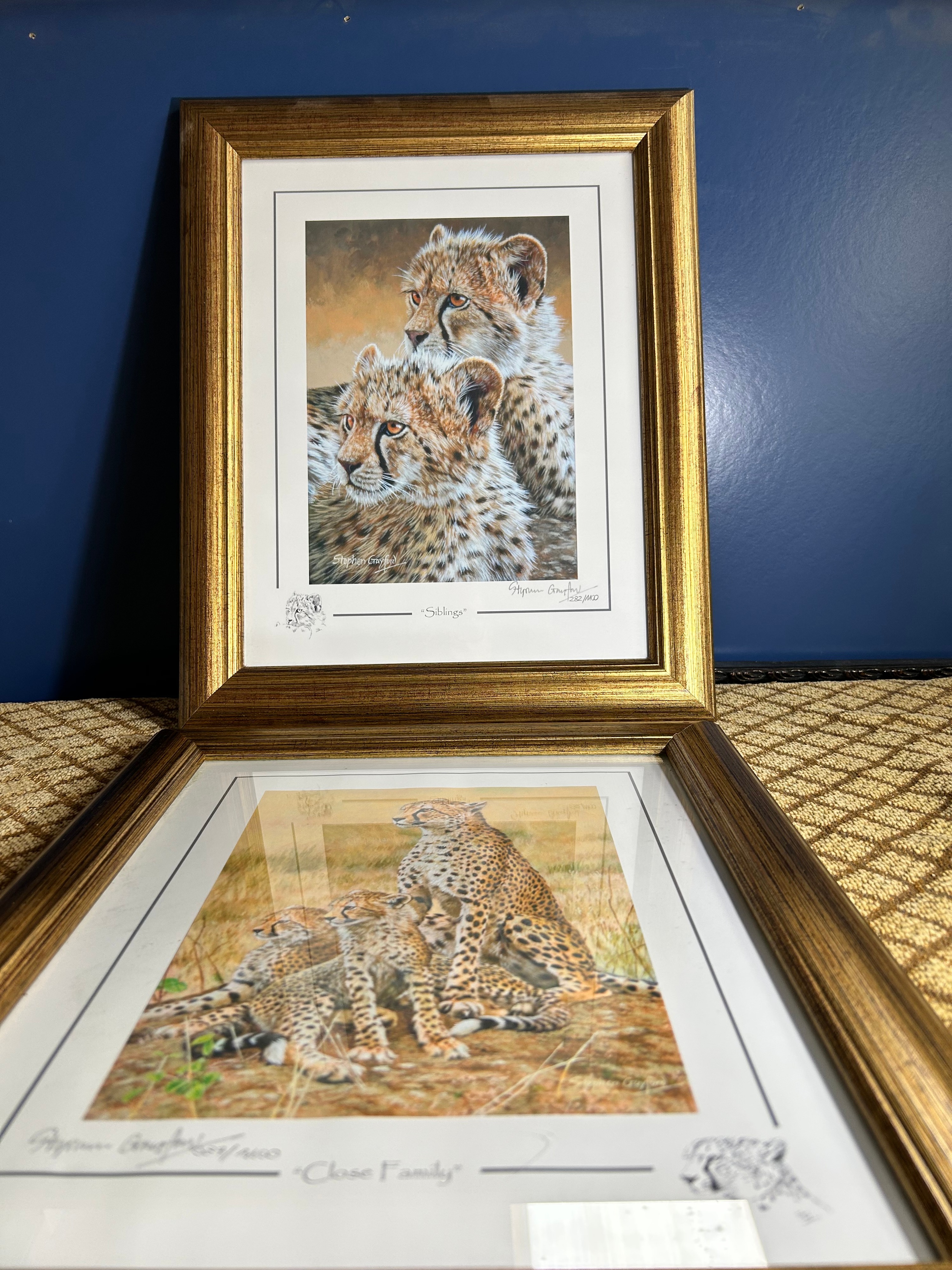 Modern Gilt Effect Framed Limited Edition Cheetah Prints by Stephen Gayford