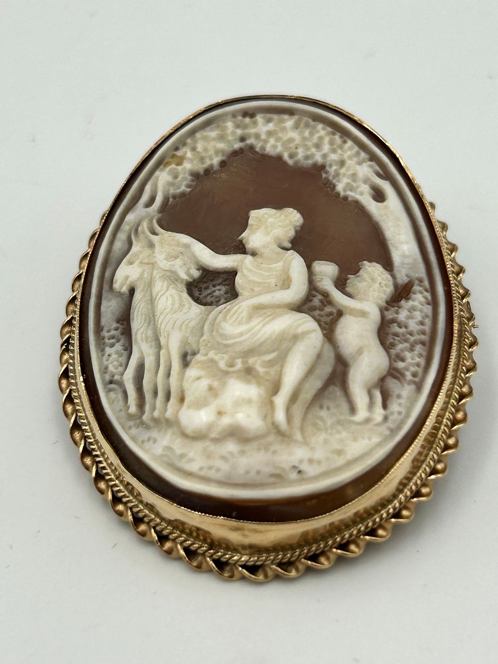Lot 822: Victorian? 9 Carat Gold Mounted Shell Cameo Oval Brooch