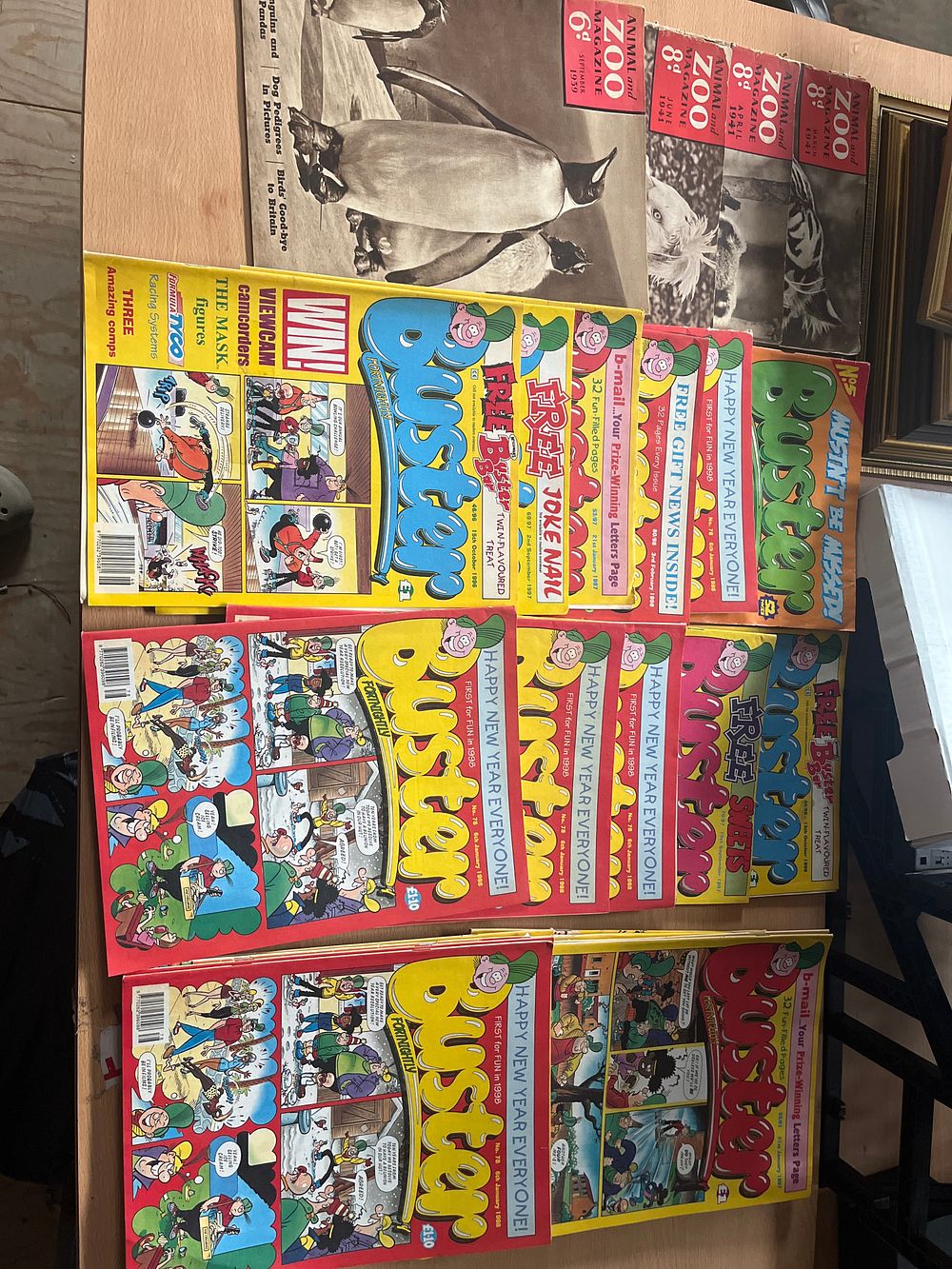 Lot 897: A Collection of Animal and Zoo Magazine and Buster Comics, 1941-1998