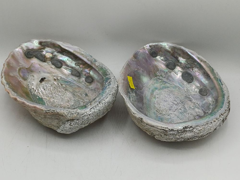 Lot 556: Two Natural Haliotidae? Abalone Shell Specimen Bowls, 8"