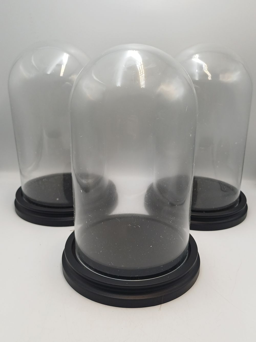 Lot 910: A Set of Three Glass and Composite Cloche Display Domes, 10"