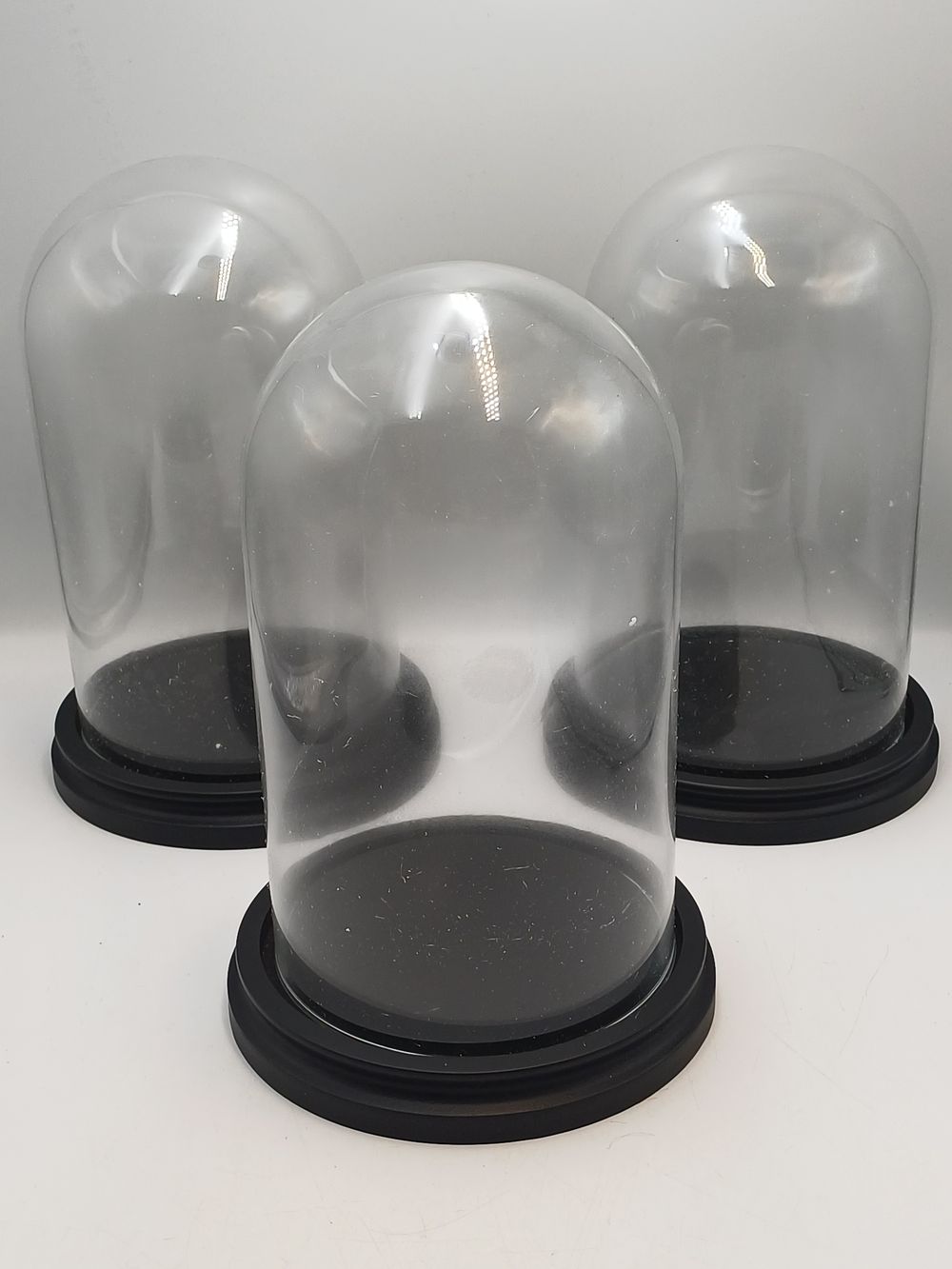 Lot 911: A Trio of Glass Display Cloches with Black Bases, 10"