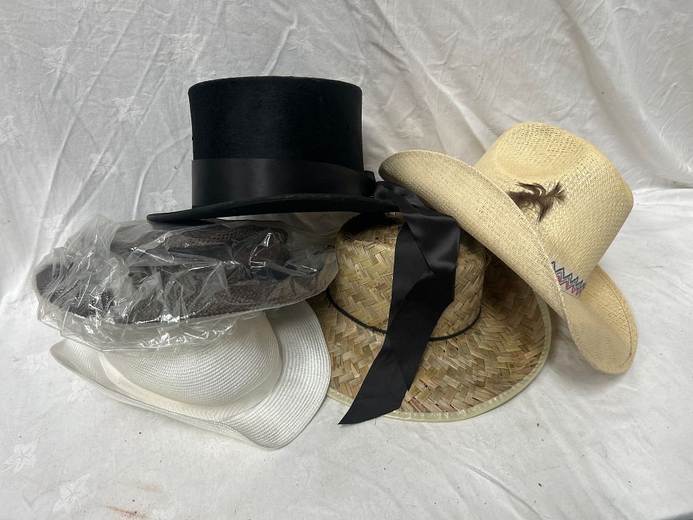Lot 1040: G. A. Dunn & Co. Silk Plush Top Hat and Assorted Straw Hats