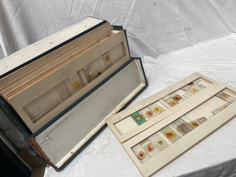 Lot 1201: Edwardian Wooden Slide Cabinet Containing a Collection of Prepared Microscope Slides, 1902