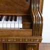 1905 Wing & Sons Pedal Upright Grand Piano Type 29. 1905 Wing & Sons 5 Pedal Upright Grand Piano Image - 3