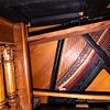 1905 Wing & Sons Pedal Upright Grand Piano Type 29. 1905 Wing & Sons 5 Pedal Upright Grand Piano Image - 26