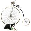 High Wheel (High Step) Bicycle. Replica of a Pennyfarthing High Wheel bicycle that has been Image - 1