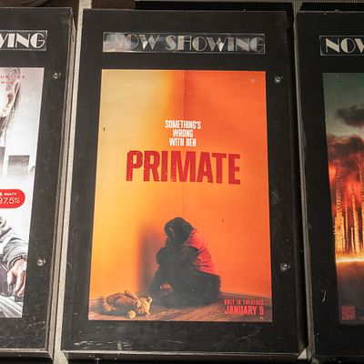 Now Showing Movie Poster Case. Back lit Now Showing one sheet movie poster case in good 