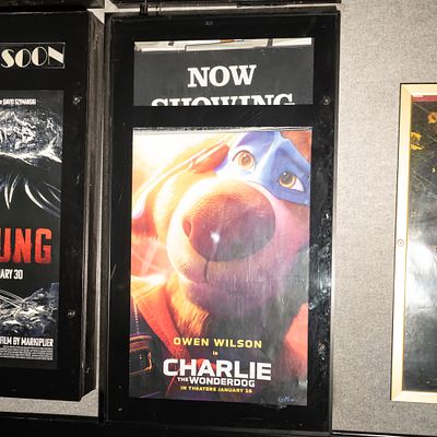 Now Showing Movie Poster Case. Back lit Now Showing one sheet movie poster case in good 