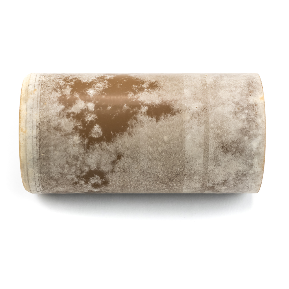 Brown Wax Cylinder "Because I Love Her" G. Gaskin