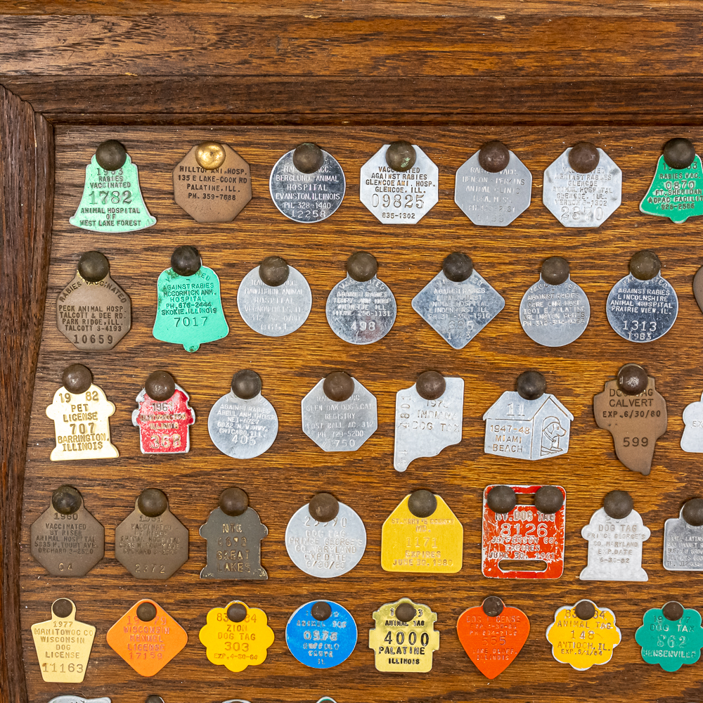 Vintage "Dog" Tag Display