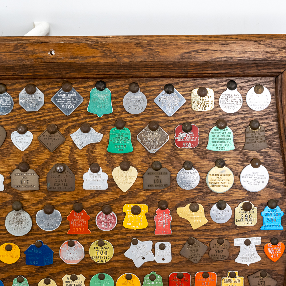 Vintage "Dog" Tag Display