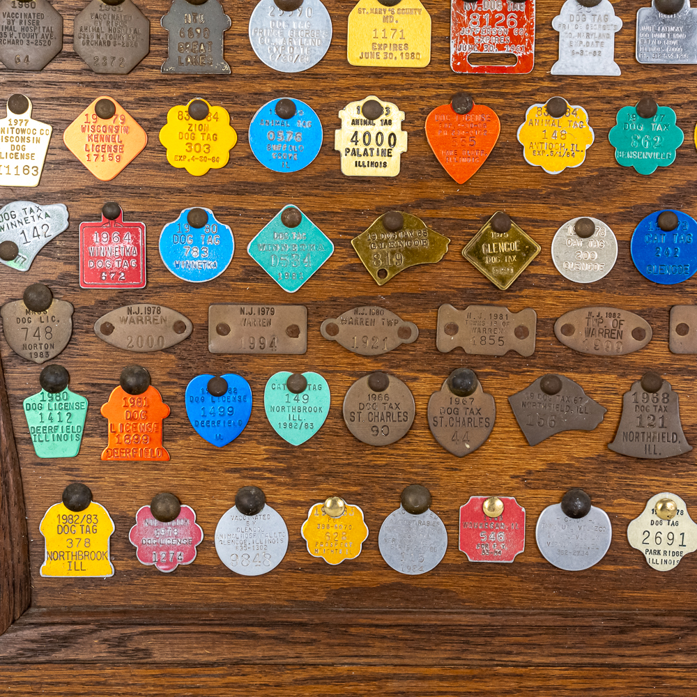 Vintage "Dog" Tag Display