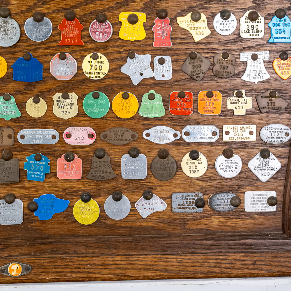 Vintage "Dog" Tag Display