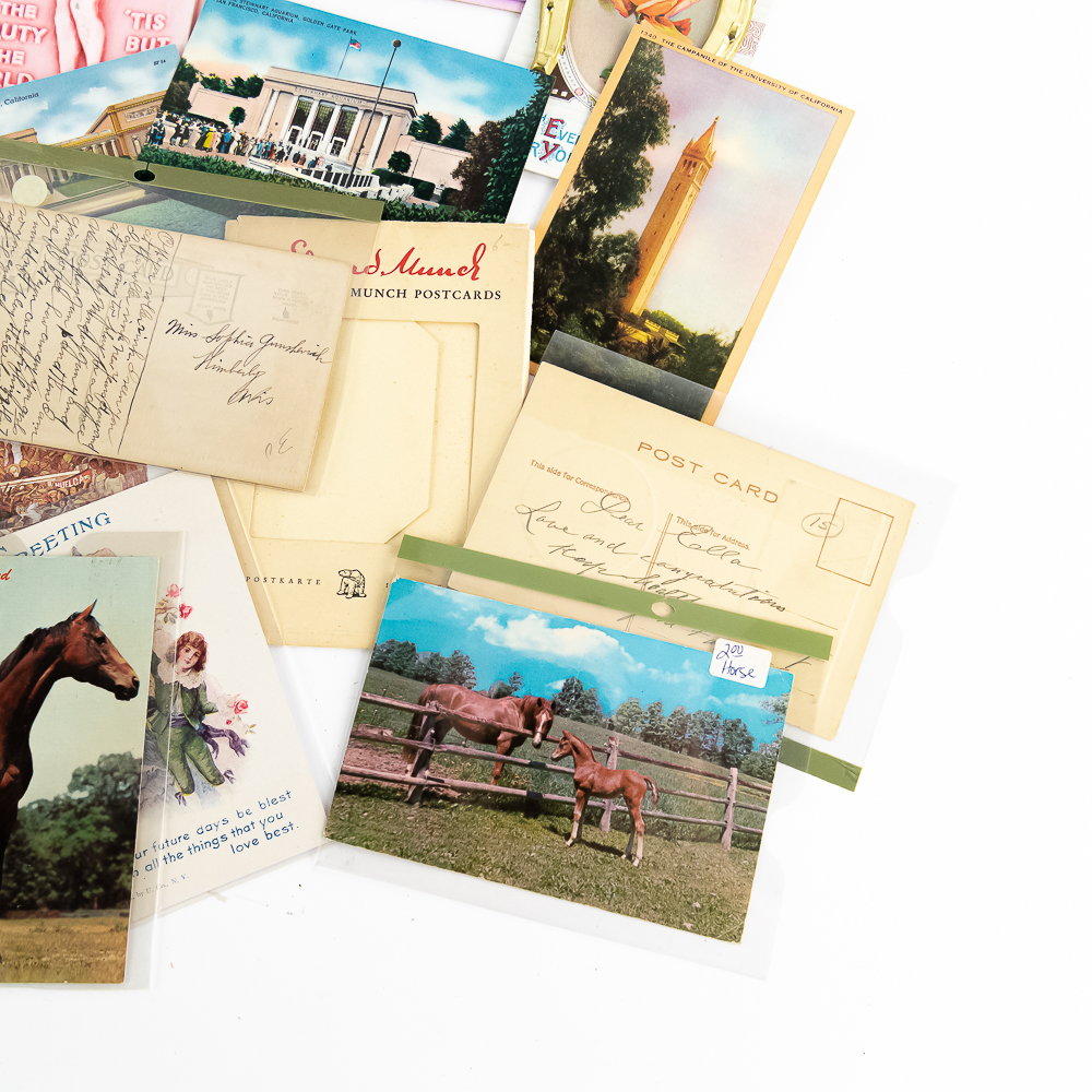 Large Vintage Postcard Assortment