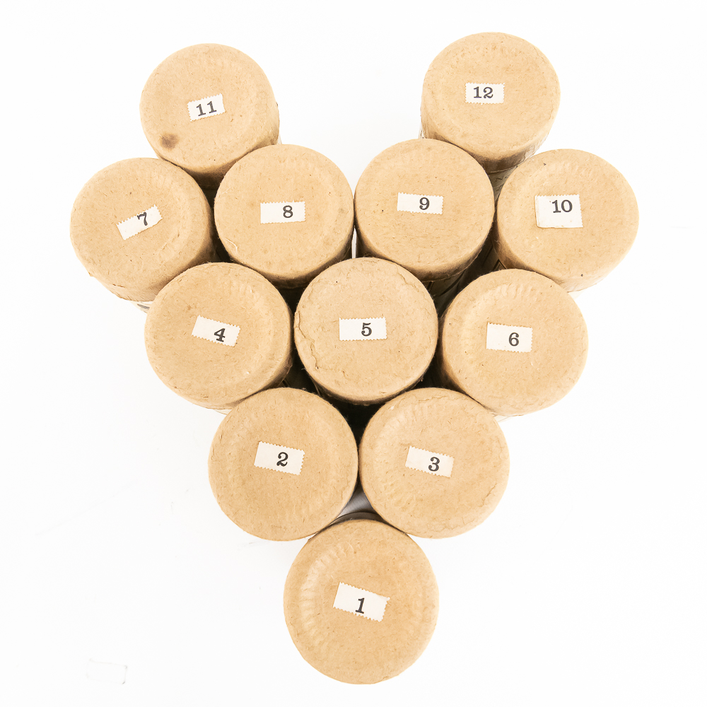 12 Vintage Edison Bacigalupi Dictating Cylinders