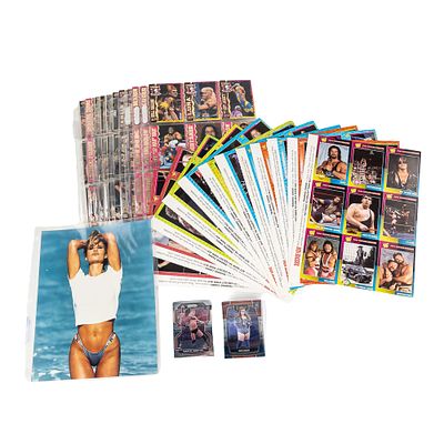 WWF WWE Wrestling Collector Assortment. Vintage WWF WWE card collection showcasing (99) assorted 