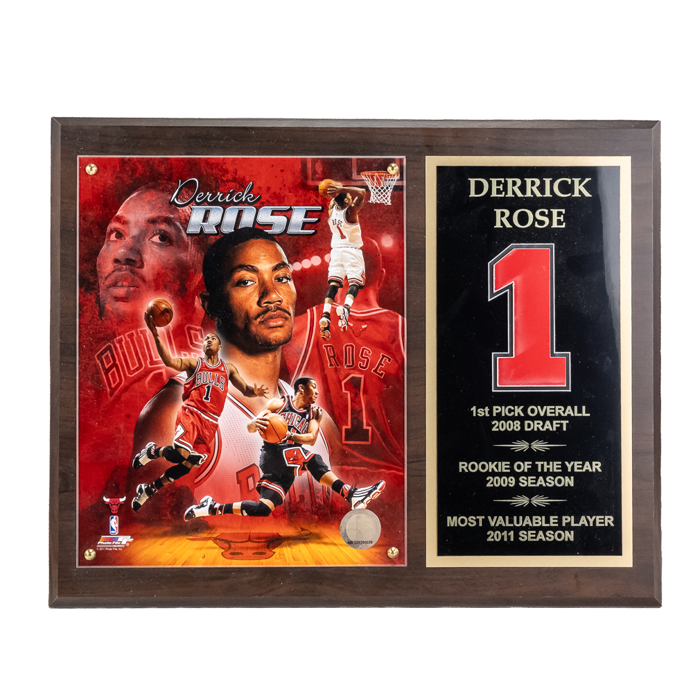 Eclectic Chicago Bulls Collection Jordan & More