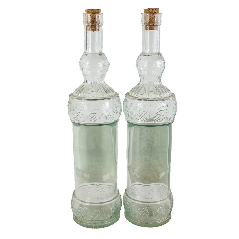 (5) Dr. Biles' Stomach Bitters Medicinal Tonic