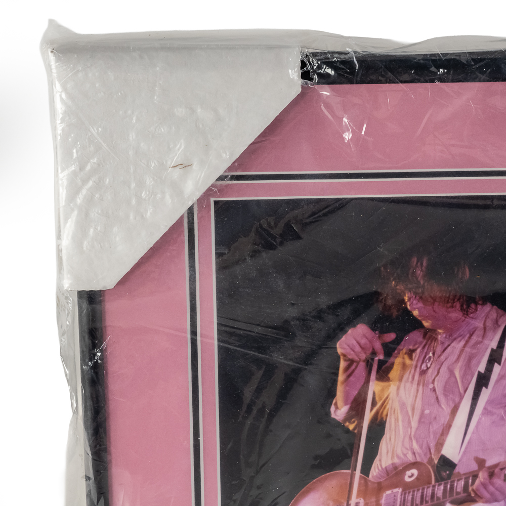 (5) Live Concert Professionally Framed Photos