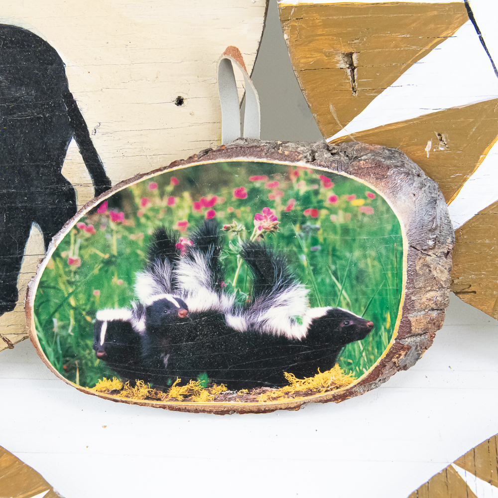Native American Gourd Rattles, Plaques, Misc
