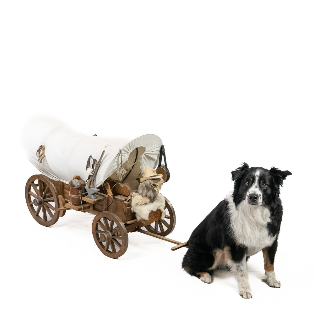 Miniature Covered Conestoga Wagon