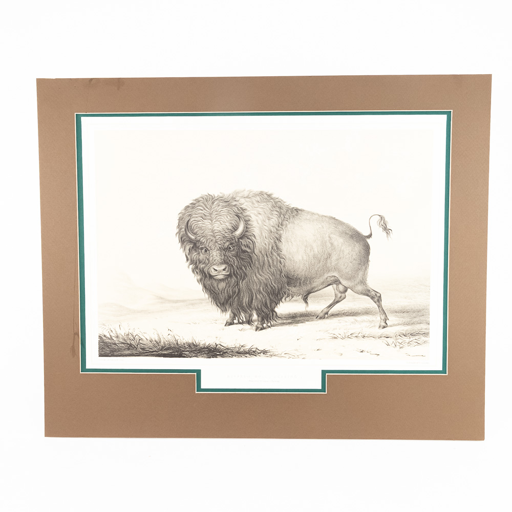 1844 London Edition George Catlin Prints (2)