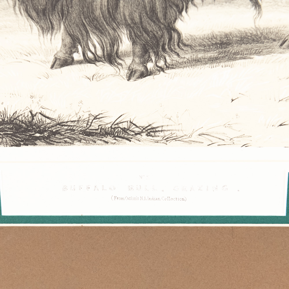 1844 London Edition George Catlin Prints (2)