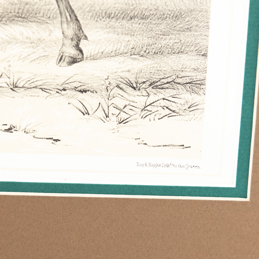 1844 London Edition George Catlin Prints (2)
