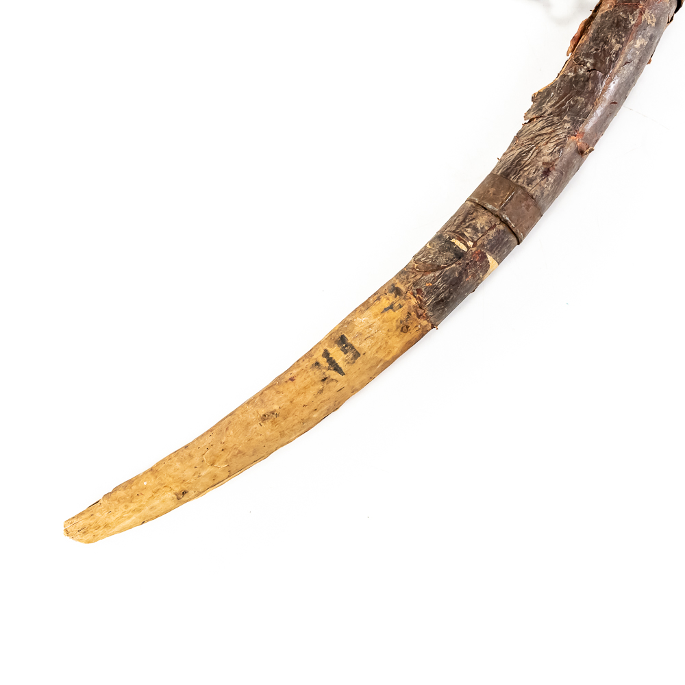 17th C. Eastern Sword Scabbard
