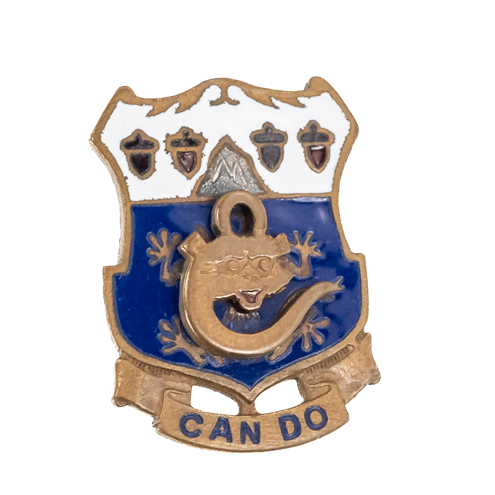 WWII CBI, Shipyard, DUI & More