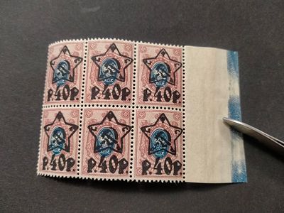 1922 РСФСР СК 78 Надпечатка Звезда... Лито. ВЗ на поле. Шестиблок марок с полем !!! . Состояние **.