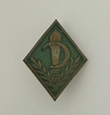 סיכת הדרכה מוקדמת.