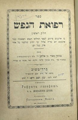 רפואת הנפש, שני חלקים, מוסר ודרוש, ובו הספד על הנצי"ב ור' יצחק אלחנן ועוד, ר' בנימין מאיר מגיד 