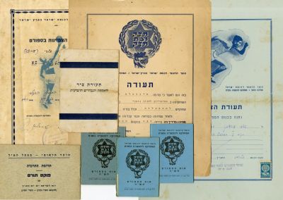 הועד הלאומי - אוסף חשוב של תעודות, פינקסים, מסמכים, ופרטי נייר. שנות ה־30 וה־40. אוסף חשוב של 