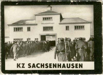 אוגדן תצלומים ממחנה המוות זקסנהאוזן. אוגדן מיוחד המתעד תצלומים קשים ממחנה הריכוז Sachsenhausen 