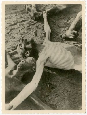 חמשה תצלומים קשים ממחנות המוות הנאצים. 5 תצלומים קשים של גופות נספים במחנות המוות אשר הקימו 