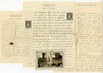 ארכיון מכתבים ענק מעיזבון פרופ' לודוויג הלברשטטר מגרמניה - מחלוצי הטיפול בסרטן בישראל. ארכיון 