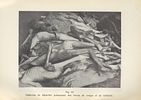 COBAYES HUMAINS - a rare publication about the human experiments performed by the Nazis in the Image - 7