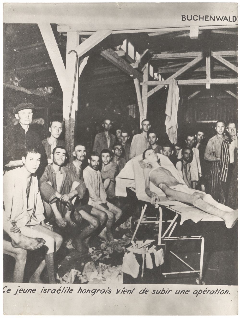 Seven harsh photos from the death camps, taken by the Allied forces at the end of World War II. 7 