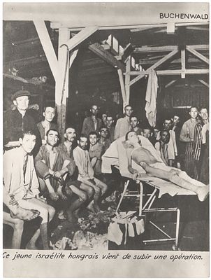 Seven harsh photos from the death camps, taken by the Allied forces at the end of World War II. 7 