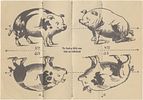 Find the Fifth Pig – Foldable Anti-Nazi Caricature. C. 1930s. "Fold as indicated – and find the Image - 2