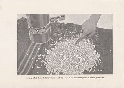 “I Saw the Extermination Camp” - documentation of the atrocities of the Majdanek camp by 