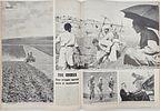 First publication of photographs of the execution of the sentences in Nuremberg in the American Изображение - 9