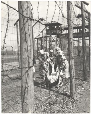 Large Photograph of Women Carrying Their Fellow Prisoner Who Perished at the Ravensbr&uuml;ck 