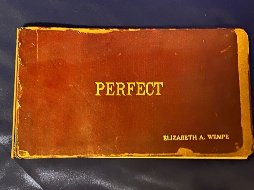 Lot 293: Incredible 1920's-1930's World Series Diary - Scorecard